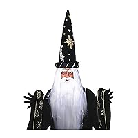 Forum Novelties Merlin Wig and Beard Set