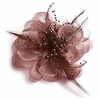 Song Qing Fascinators for Women Feather Tea Party Hats Pin Brooch Corsage Flower Derby Bridal Cocktail Church Wedding Coffee