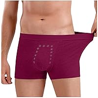 Mens Everyday Stretch Boxer Briefs Breathable Underwear Soft Waistband Trunks Short Leg Daily Bottoms Panties