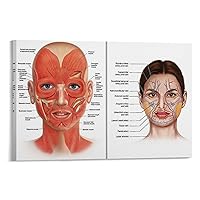 Muscles Facial Anatomy Poster Facial Arteries Poster Hospital Clinic Decoration Poster Canvas Poster Wall Art Decor Print Picture Paintings for Living Room Bedroom Decoration Frame-style 36x24inch(90x