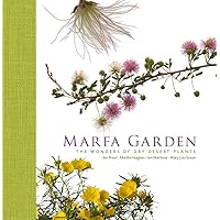 Marfa Garden: The Wonders of Dry Desert Plants