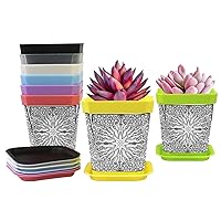 Plant Seed Starting Pots, Plastic Planter Pot with Saucers Pallet, 8 Pieces Flower Pots for Garden Home Windowsill Indoor Ourdoor Decor, Carved Wood Effect Floral Star
