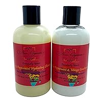 Haircare - Aloe, Peppermint, & Mango Hydrating Shampoo & Conditioner Set - For Dry or Damaged hair - Sulfate Free Shampoo and Hydrating/Strengthening Conditioner