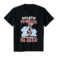 Kids Big Sis Girls A Little Princess But Becoming A Big Sister T-Shirt