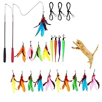 24PCS Cat Feather Toys, 2PCS Retractable Cat Wand and 15PCS Feather Replacements Plus 4PCS Worms and 3PCS Replacement String for Indoor Cats Kitten Interactive Play
