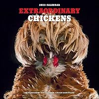 Extraordinary Chickens 2023 Wall Calendar Extraordinary Chickens 2023 Wall Calendar Calendar