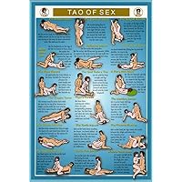 Natures Energies Tao of Sex Reference Guide Mini Chart Poster 9 x 6