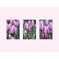 Spring Flowers Photo Unframed Floral Print Set Tulip Photography Pink Wall Art Purple Home Decor Gift for Women Garden Decor Custom 8x12 12x18 16x24 20x30