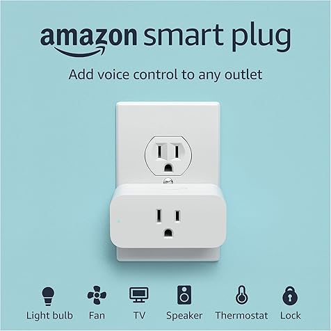 Amazon Smart Plug | Works with Alexa | control lights with voice | easy to set up and use
