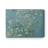 Renditions Gallery Almond Blossoms by Vincent Van Gogh Printed, Famous Painting Reproduction, Premium Gallery Wrapped Canvas Print Décor, Ready to Hang, 16 in H x 20 in W, Made in America Art