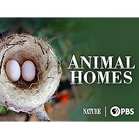 Animal Homes, Season 1