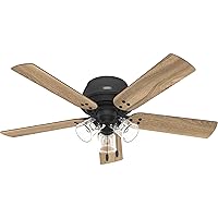 Hunter Fan Company 52378 Shady Grove Ceiling Fan, Matte Black