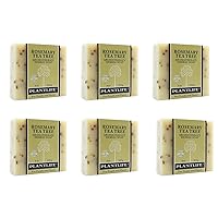 Plantlife Rosemary Tea Tree 6-Pack Bar Soap - Moisturizing and Soothing Soap for Your Skin - Hand Crafted Using Plant-Based Ingredients - Made in California 4oz Bar