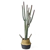 NCYP Fake Plants - 4ft (48 Inch) Tall Artificial Cactus in Plastic Planter with Seagrass Basket - Faux Cacti Potted for Home, Room, Office, Indoor Farmhouse Floor Decor - Small Saguaro, Gift