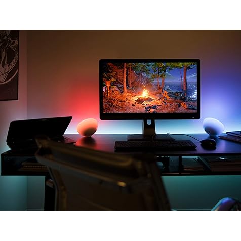 Hue Go White and Color Portable Dimmable LED Smart Light Table Lamp (Requires Hue Hub, Works with Alexa, HomeKit and Google Assistant), White