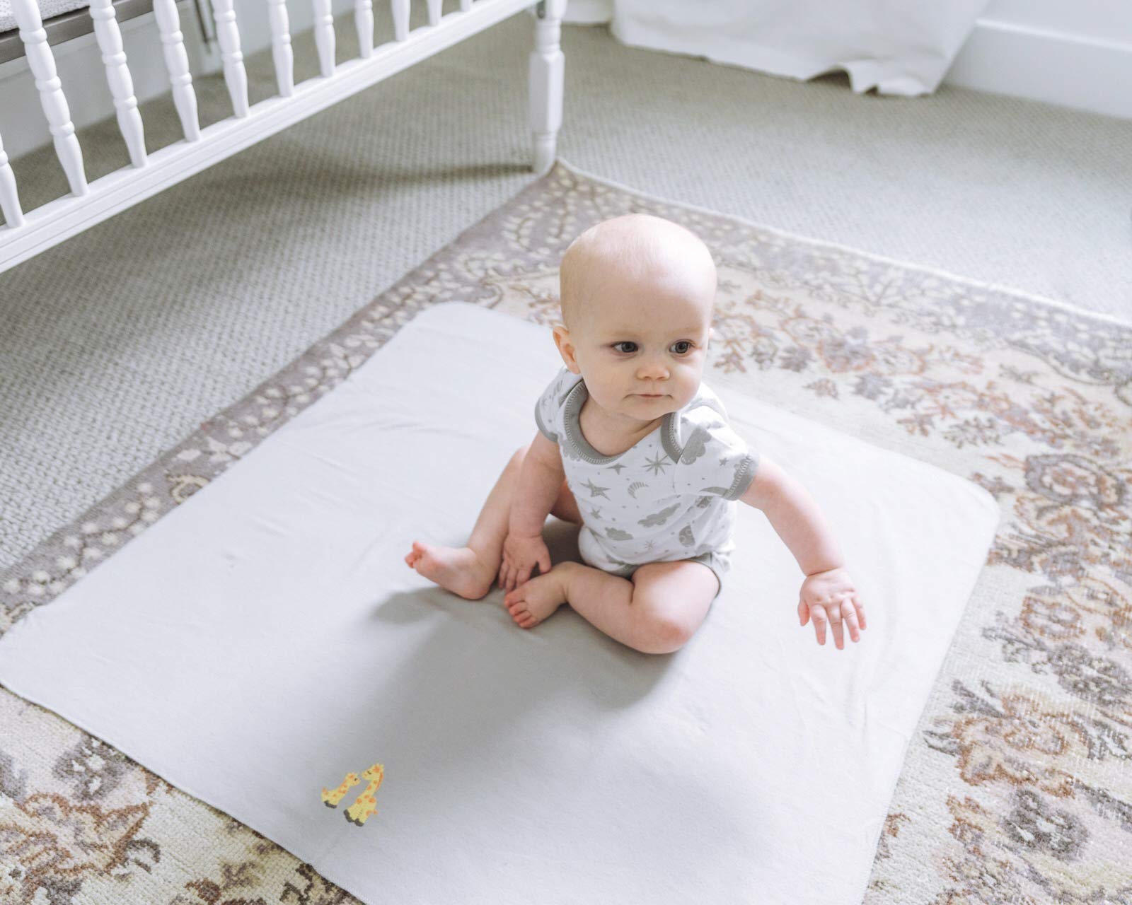 Spasilk Baby 4 Pack 100% Cotton Flannel Receiving Blanket