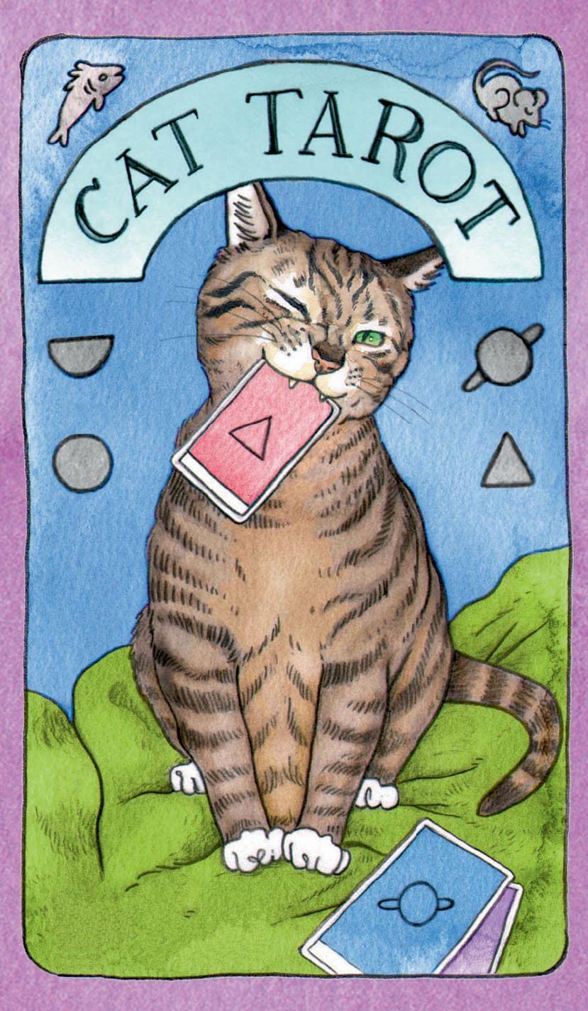 Cats Rule the Earth Tarot: 78-Card Deck and Guidebook for the Feline-Obsessed: Davidson, Catherine, Corrêa, Thiago: 9781419766060: Amazon.com: Books