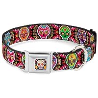 Dog Collar Seatbelt Buckle Six Sugar Skulls Multi Color 11 to 17 Inches 1.0 Inch Wide