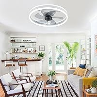 Minney Ceiling Fan with Lights, 19.7'' Modern Flush Mount Ceiling Fan with Lights Remote Control APP, 3 Color Dimmable Reversible 6 Wind Speeds Timing Low Profile Ceiling Fans with 5 Blades, White