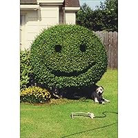 Smiley Face Hedge and Dog Funny/Humorous New Home Congratulations Card