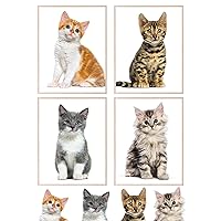 Insire Kitten Poster, Cat Posters, Kitten Pictures, Prints for Girls Bedroom, Cute Poster, Kitten Wall Art Baby Animal Wall Art - Unframed (8x10”)