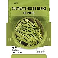 How to Cultivate Green Beans in Pots: Guide and overview