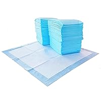 Amazon Basics Dog and Puppy Pee Pads with 5-Layer Leak-Proof Design and Quick-Dry Surface for Potty Training, Regular, 22 x 22 Inch, Scented - Pack of 150, Blue