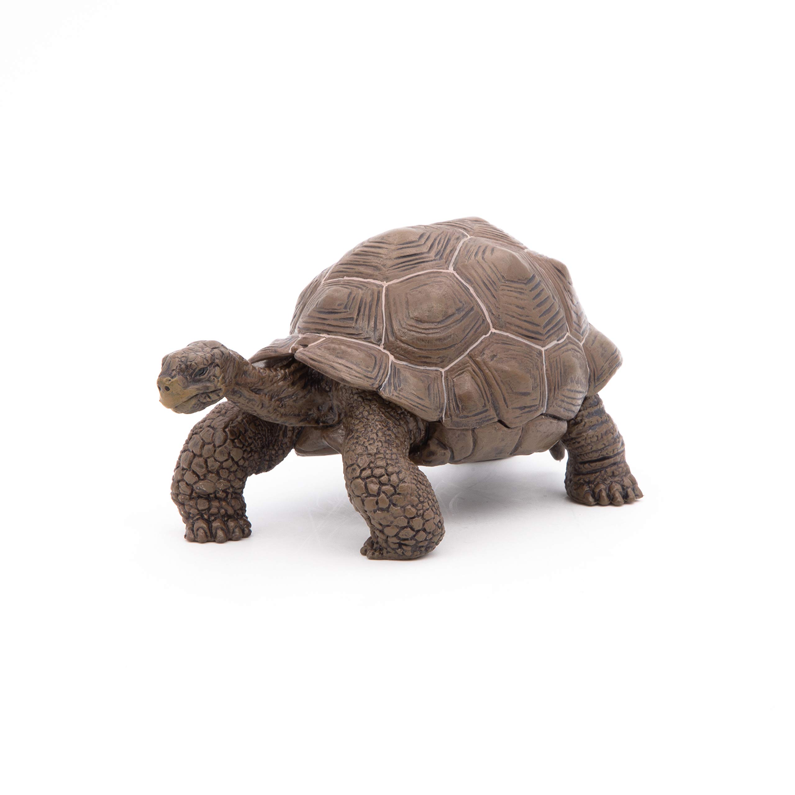 Papo Galapagos Tortoise Toy Figure