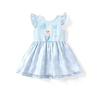 Disney Frozen Elsa Dress for Girls Tutu Dresses for Toddler Girls Tulle Toddler Dress Casual Toddler Princess Dress