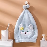 Dry Hair Cap Water-Absorbing Fast Dual-use Hair Towel Women's Thickened Princess hat BellFox-Blue