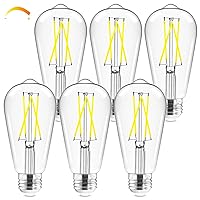 LED Edison Bulbs, 6W, Equivalent 60W, Dimmable E26 LED Bulb, Daylight 5000K, 90+ CRI 700 Lumens, ST19 Vintage Light Bulbs, Clear Glass, Pack of 6