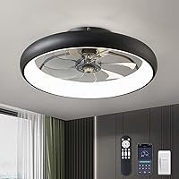 Ceiling Fans with Lights, 20