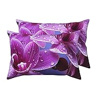 2 Pack Queen Size Pillow Cases with Envelope Closure Purple Flower Pillow Cover 20x30 Inches Soft Breathable Pillowcase for Hair and Skin, Sleeping Gift