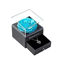 Mothers Day Flower Gifts for Her, Preserved Real Flower Rose with Silver-Tone Heart Necklace I Love You in 100 Languages Gift Set, Enchanted Flower Rose Gifts, Aqua Blue