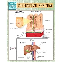 Digestive System (Speedy Study Guides) Digestive System (Speedy Study Guides) Paperback Kindle