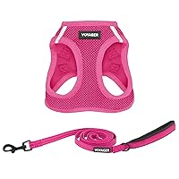 Voyager Step-in Air All Weather Mesh Harness and Reflective Dog 5 ft Leash Combo with Neoprene Handle, for Small, Medium and Large Breed Puppies by Best Pet Supplies - Set (Fuchsia), XS