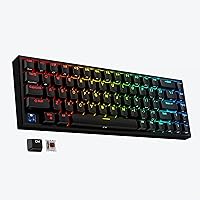 Tilted Nation 65% Percent Keyboard - Compact Hot Swappable Mechanical Keyboard - Dual Wired or 2.4G Wireless RGB Gaming Keyboard - Rechargeable, 68 Key, Customizable RGB, Brown Switches