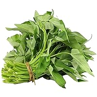 120pcs Water Spinach 'Kong Xin CAI' Seeds – Organic, Non-GMO Heirloom Vegetable for Gardens & Yards – High Germination Rate