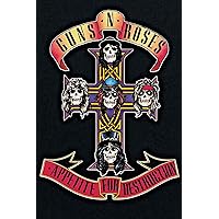 Buyartforless Guns n Roses - Appetite for Destruction 1987 36x24 Music Art Print Poster, Black, Red, Purple, Yellow, White