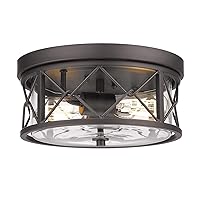 zeyu 2-Light Flush Mount Ceiling Light, 12 Inch Kitchen Light Fixtures Ceiling with Clear Glass Cover, Oil Rubbed Bronze Finish, ZY25-F ORB