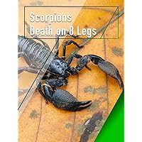 Scorpions - Death on 8 Legs
