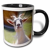 Goat Gift, Goat Mug, Goat Lover Gift, Thinking About Goats, Goat Farm Farmer Owner Gifts, Gifts for Goat lovers, Women, Her, Crazy Goat Lady 15oz