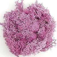 ECYC Ltd 3.52 OZ (100g) Artificial Moss for Crafts, Colored Faux Moss Artificial Decorative Moss for Potted Plants, Floral Project, Wall Decor, Fairy Garden, Centerpieces, DIY Crafts