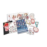 Speech Language Pathology Gift and Education Box Set. Brain, Head, Larynx, Swallowing Assortment SLP Learning aids and Gift Items