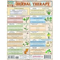 Herbal Therapy (Quick Study: Health) Herbal Therapy (Quick Study: Health) Cards