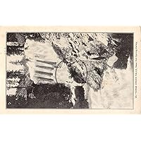 Hot Spring Valley California Kings Creek Water Falls Antique Postcard K87208