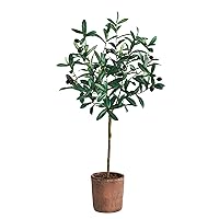 Nearly Natural 31in. Olive Artificial Tree