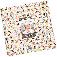 Moda Fabrics Picture Perfect Layer Cake, 42-10'' Precut Fabric Quilt Squares by American Jane