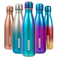 Insulated Water Bottles -17oz/500ml -Stainless Steel Water bottles, Sports water bottles Keep cold for 24 Hours and hot for 12 Hours,Shining Purple