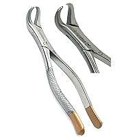 Premium German Dental Tooth Extracting Forceps # 23 Cow Horn Lower Molar Dental Instruments